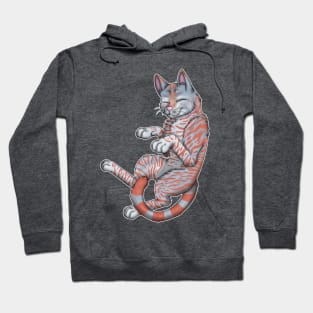 Red on Blue Tabby Shorthair Hoodie